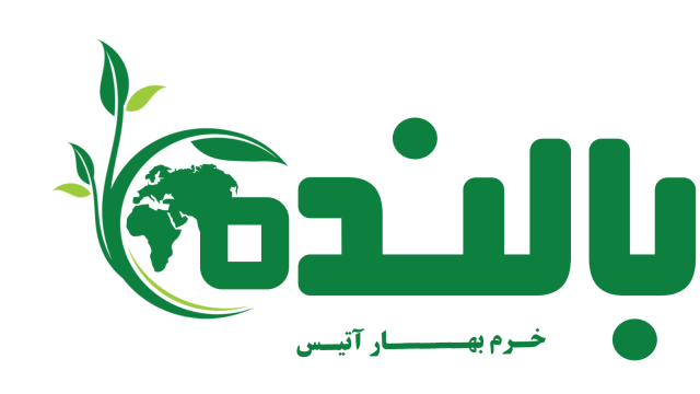 IMG_20240519_094703_284