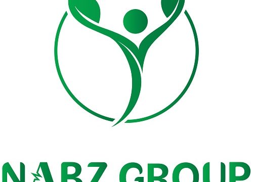 nabzgroup-brand-manual-small